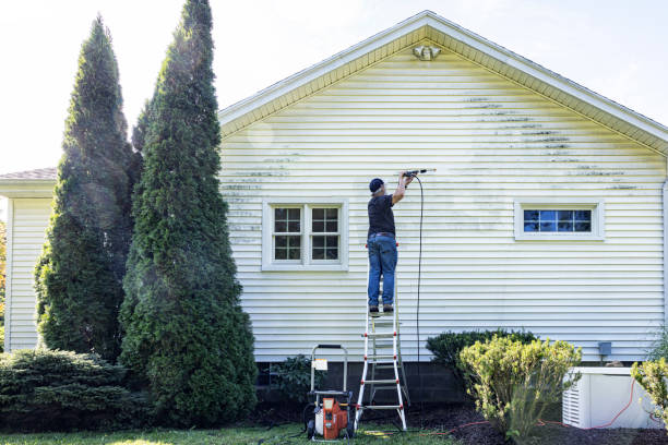 Spring Cleaning in Bigfork, MT